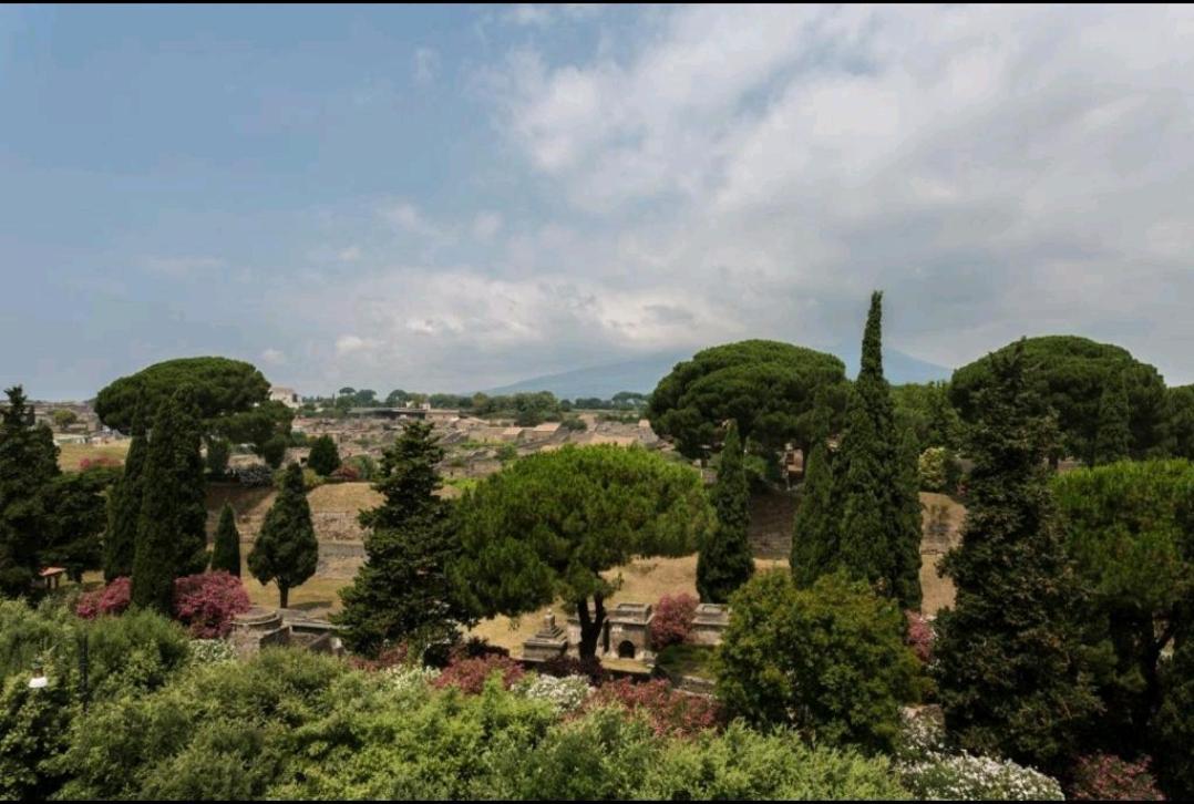 بومبيي B&B Vesuvio Ruins المظهر الخارجي الصورة
